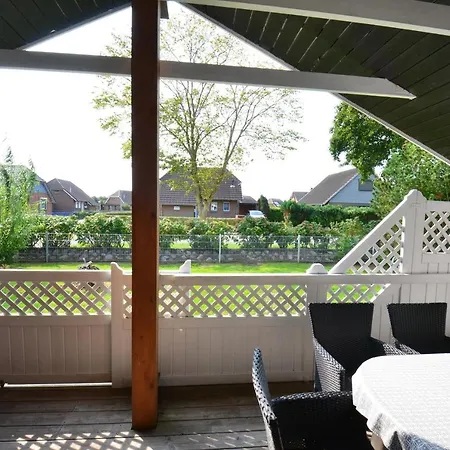 Seestern - A46910 Friedrichskoog-Spitz